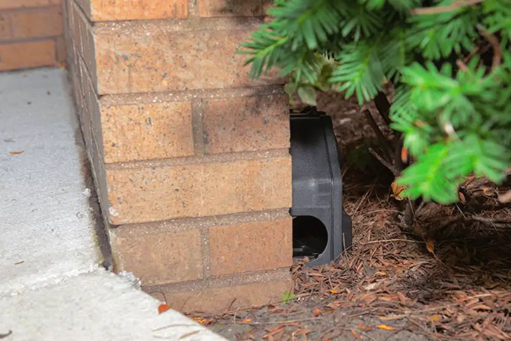 Aegis rodent protection trap