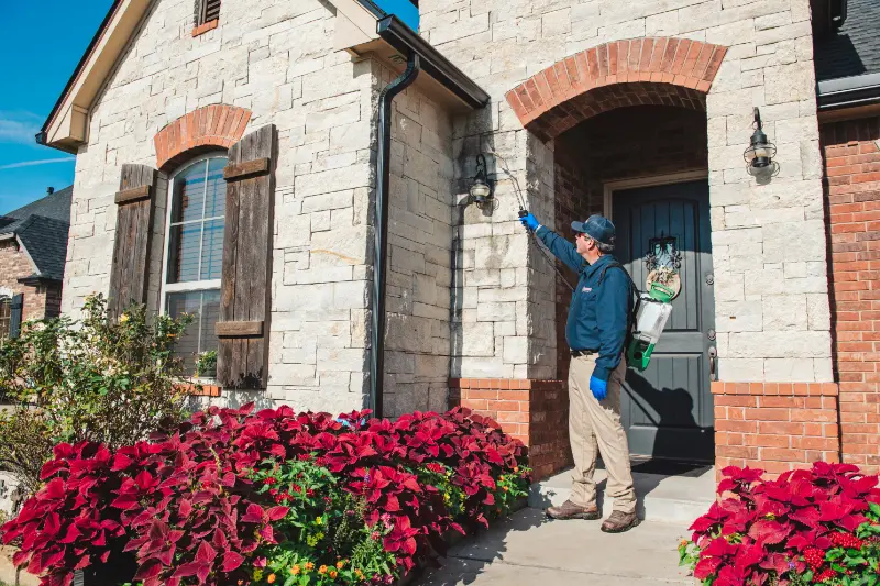 Home exteriror total pest control services Home exteriror total pest control services