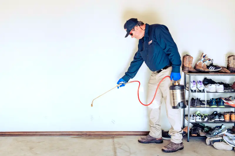Home exterior total pest control services Home exterior total pest control services