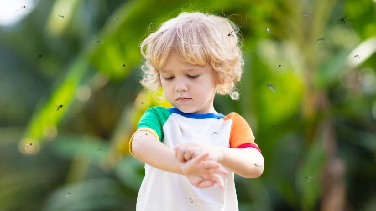 Mosquitos fly around young boy