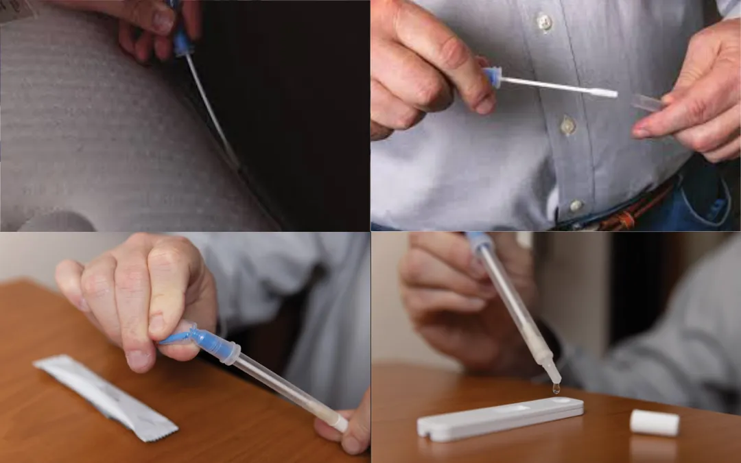TruDetx rapid bed bug testing